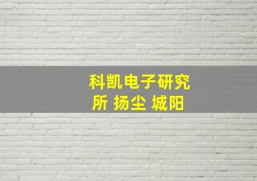 科凯电子研究所 扬尘 城阳